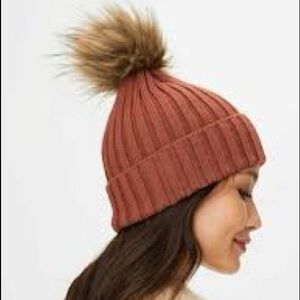 Aritzia Auxiliary knit Pom Pom beanie